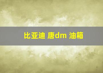 比亚迪 唐dm 油箱